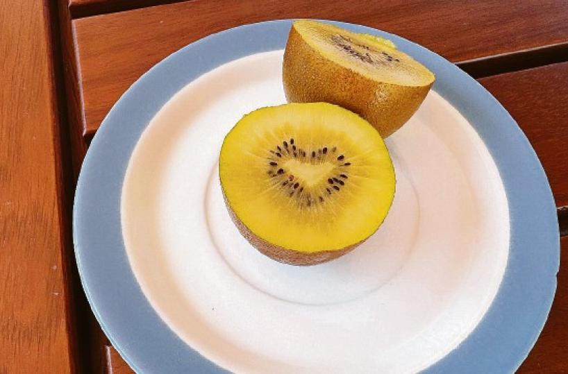 La foto del giorno del 13 agosto 2025