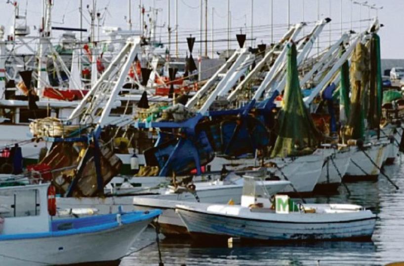 Pesca, fine del fermo ma dei ristori nessuna traccia. E a Mola 20 pescherecci su 60 hanno cessato l’attività