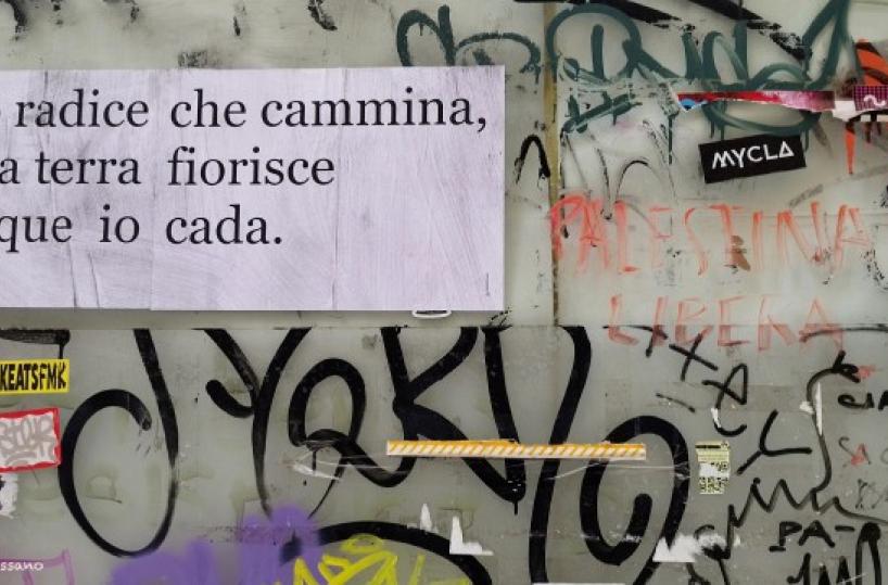 La foto del giorno del 25 ottobre 2025