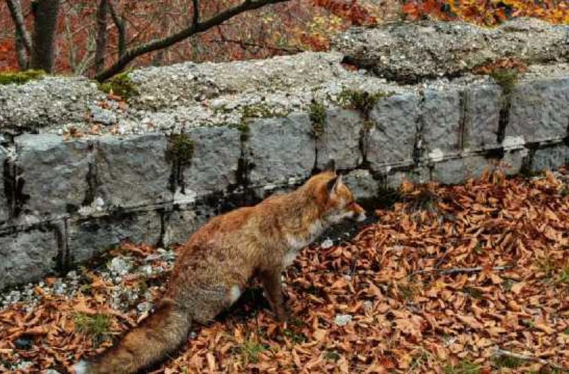 La foto del giorno del 4 novembre 2025