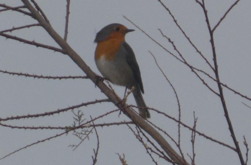 La foto del giorno del 9 novembre 2025