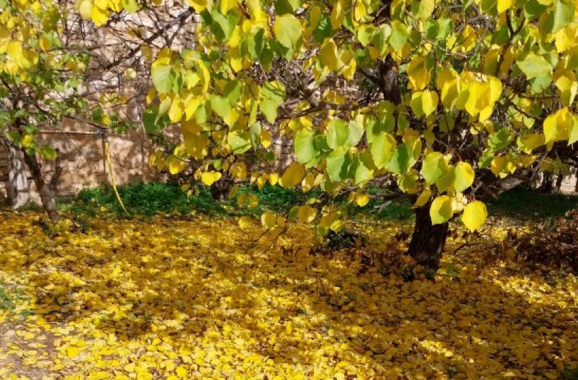 La foto del giorno dell'11 novembre 2025