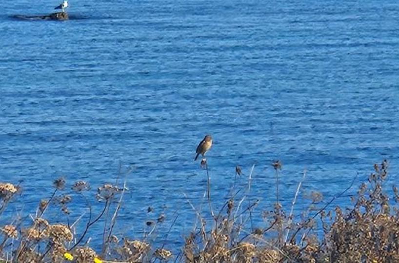 La foto del giorno del 16 novembre 2025