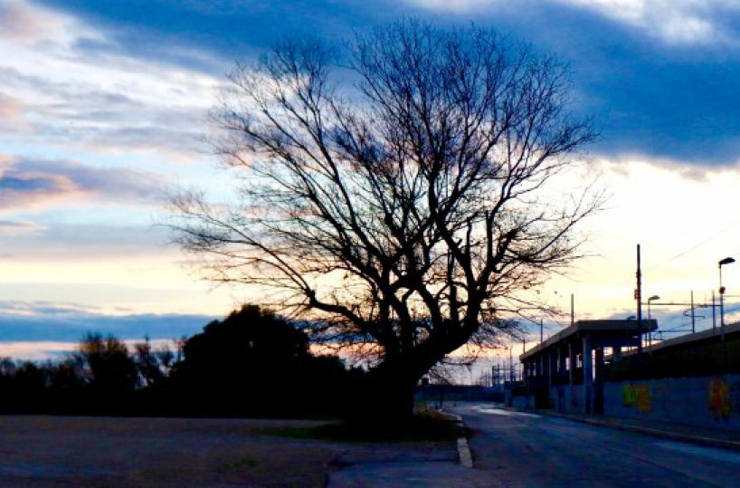 La foto del giorno del 19 novembre 2025