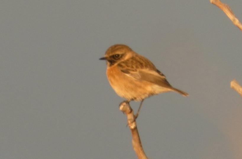 La foto del giorno del 22 novembre 2025