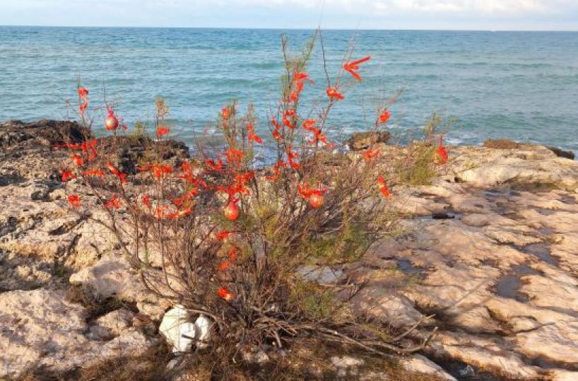 La foto del giorno dell'11 dicembre 2025