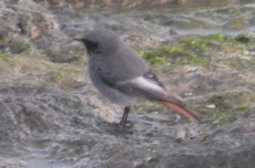 La foto del giorno del 3 gennaio 2025