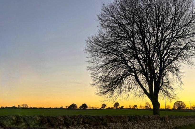 La foto del giorno del 7 gennaio 2025