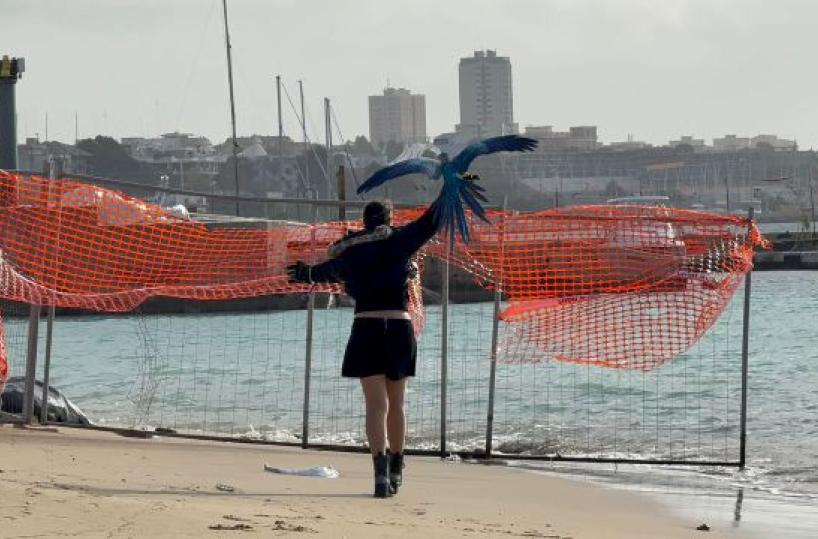 La foto del giorno dell'8 gennaio 2026