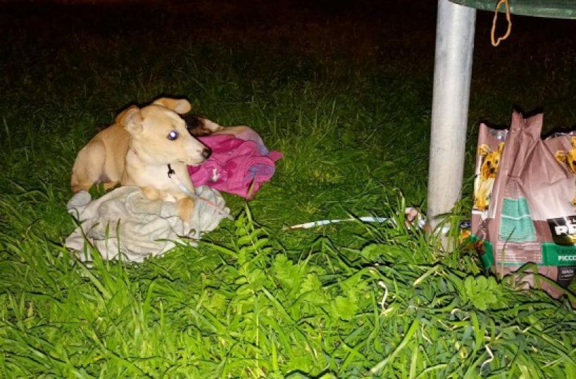 La foto del giorno del 13 gennaio 2025