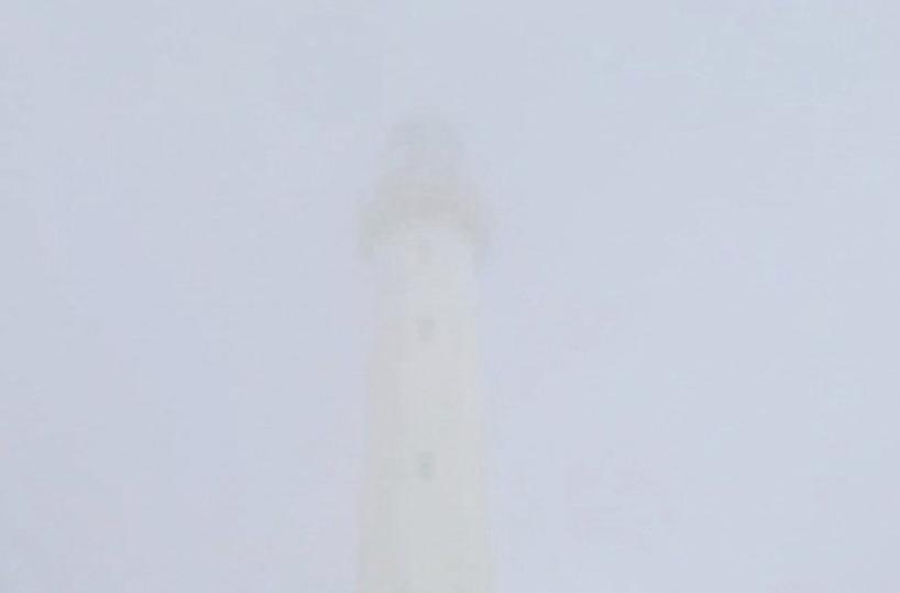 La foto del giorno del 19 gennaio 2026