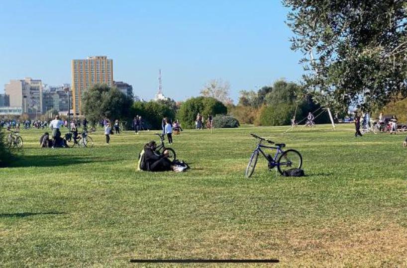 Bari, la Cassazione riapre la partita: &laquo;Il parco di Punta Perotti deve essere smantellato&raquo;
