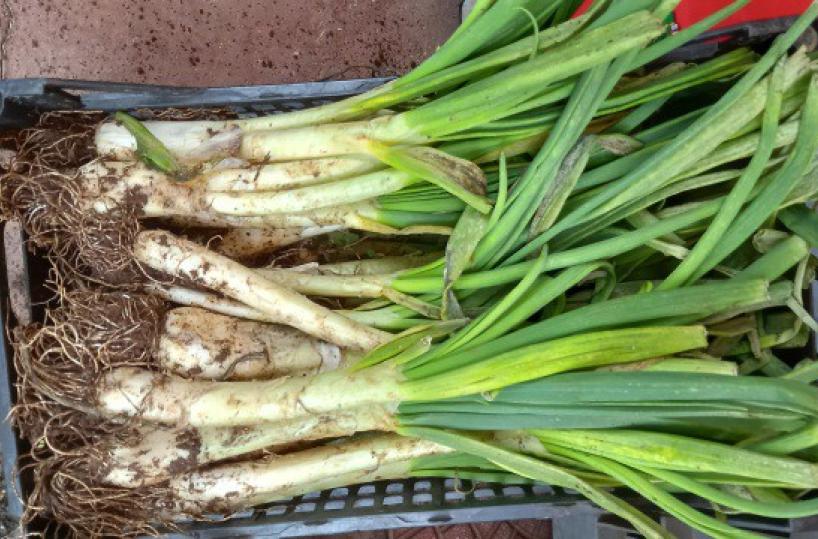 La foto del giorno del 4 febbraio 2026