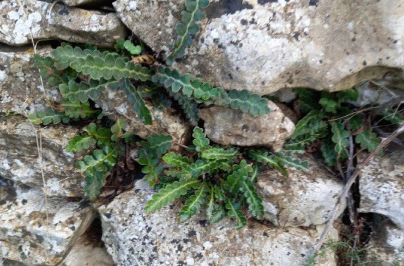 La foto del giorno del 10 febbraio 2025