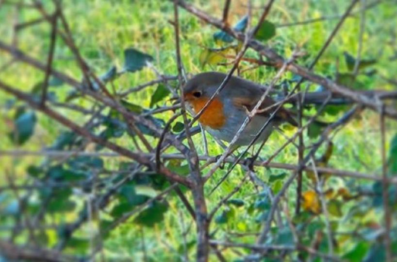 La foto del giorno del 12 febbraio 2026