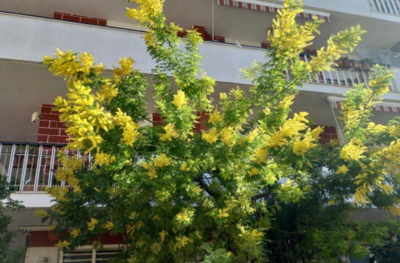 La foto del giorno del 19 febbraio 2026