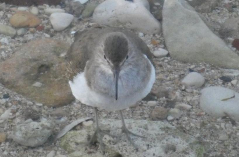 La foto del giorno del 22 febbraio 2026