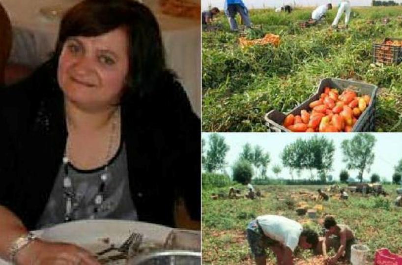 Paola Clemente morta di fatica nei campi, confermata in appello l'assoluzione dell'imprenditore