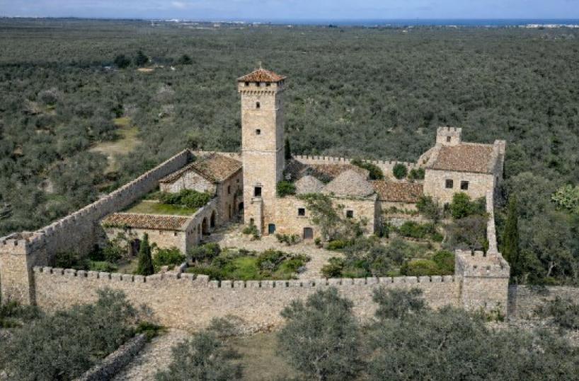 La foto del giorno del 24 febbraio 2026