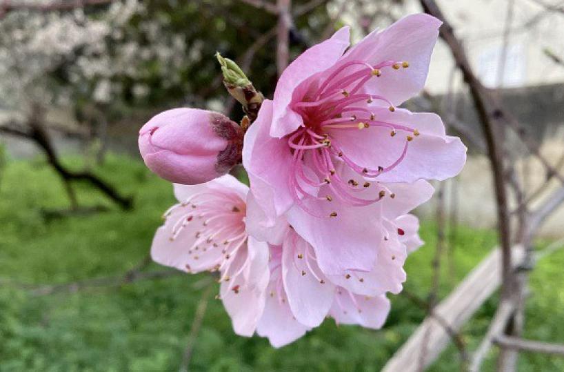 La foto del giorno del 2 marzo 2026