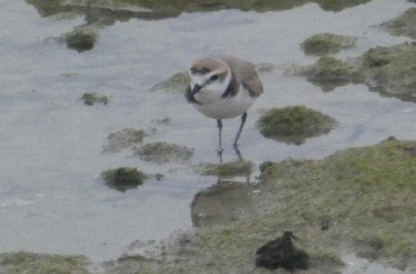 La foto del giorno del 3 marzo 2026