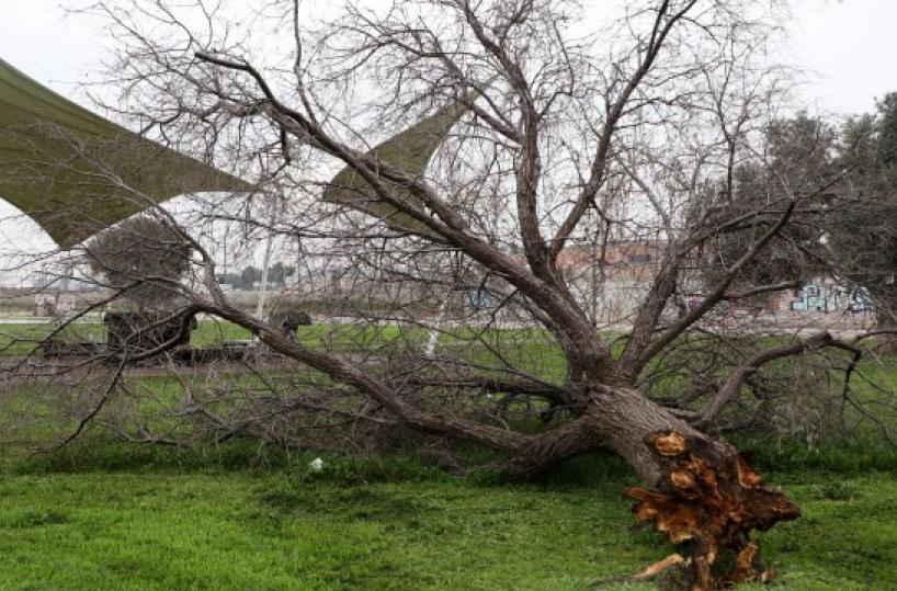 La foto del giorno del 10 marzo 2026