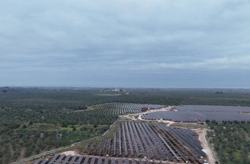 Puglia, una legge per favorire gli impianti a energie rinnovabili: oggi l'ok in giunta. L'ira degli ambientalisti