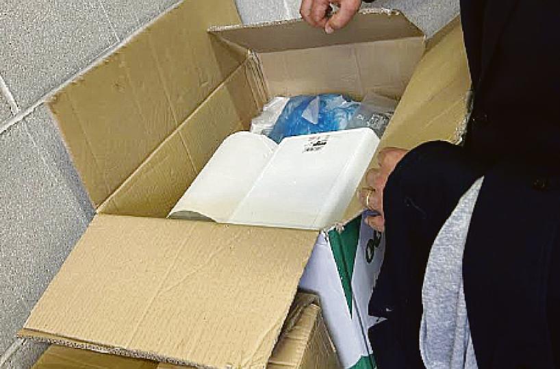 &laquo;La scuola Don Milani &egrave; invasa dai topi&raquo;: a Policoro la denuncia dei genitori. Avviata la derattizzazione