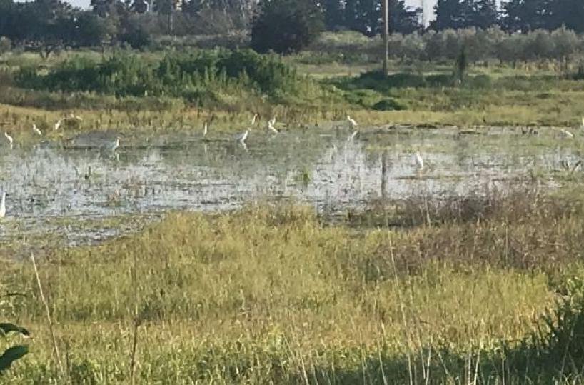 La foto del giorno del 31 marzo 2026