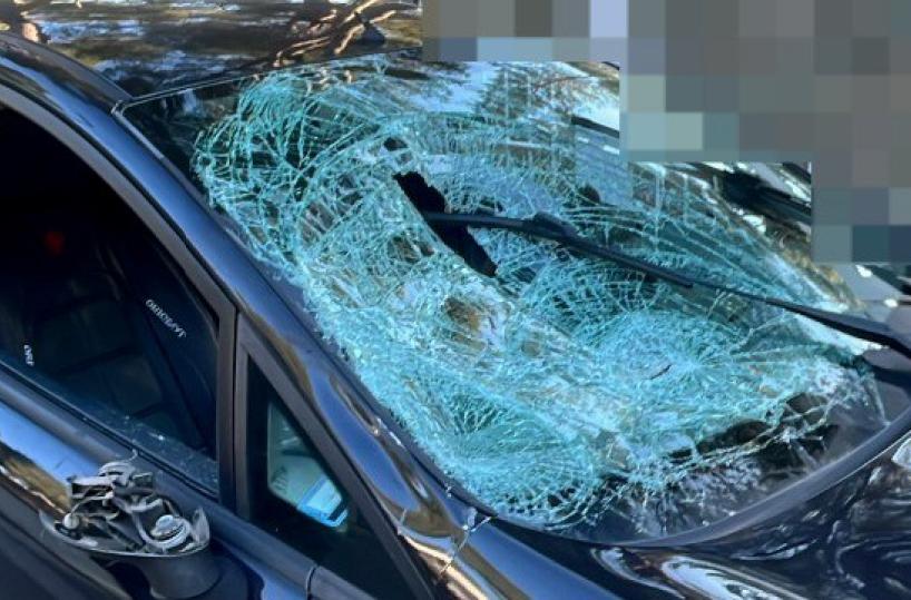 Castellaneta Marina, travolti dall'auto dopo una lite: sei giovani feriti, uno &egrave; grave