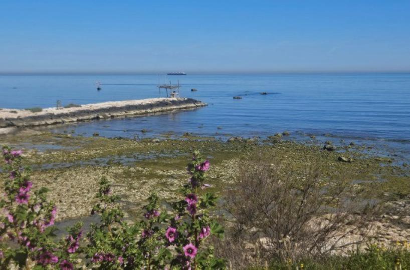 La foto del giorno dell'8 aprile 2026