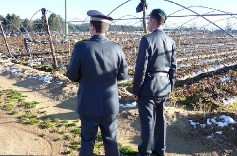 Matera, permessi di soggiorno agli extracomunitari venduti a 2mila euro. Gli indagati: &laquo;Tanto non rischiamo niente&raquo;