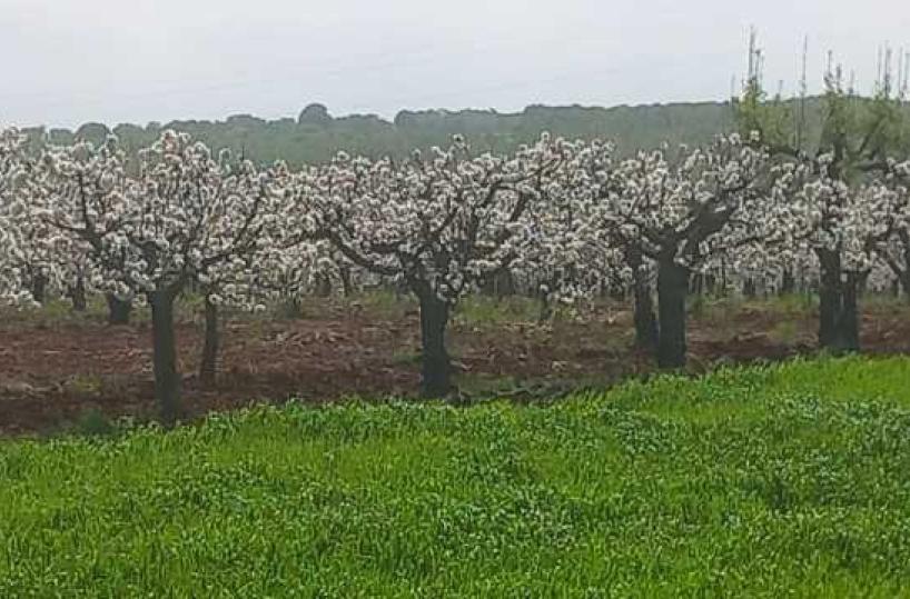 La foto del giorno del 16 aprile 2026