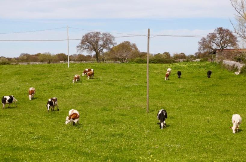 La foto del giorno del 18 aprile 2026