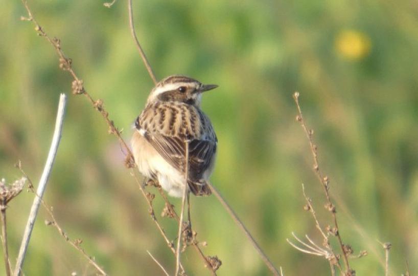 La foto del giorno del 21 aprile 2026