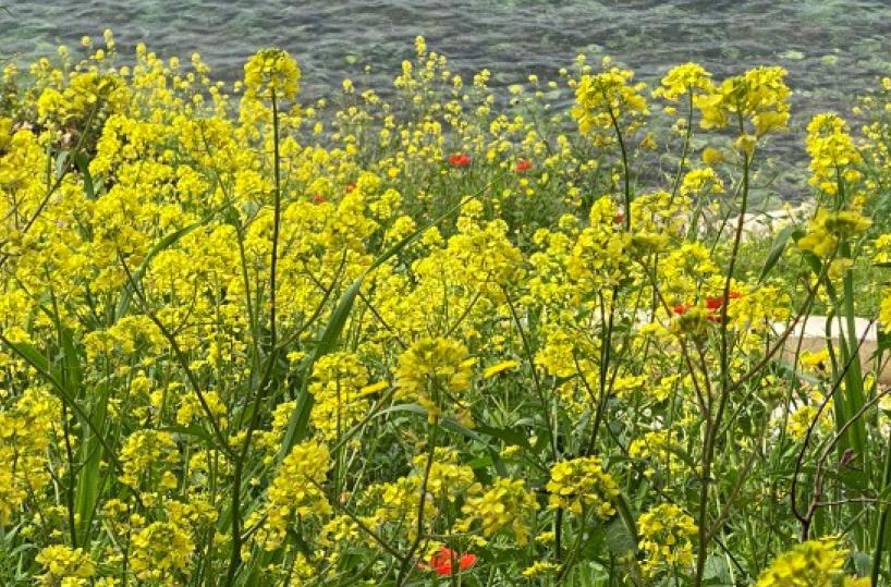 La foto del giorno del 22 aprile 2026
