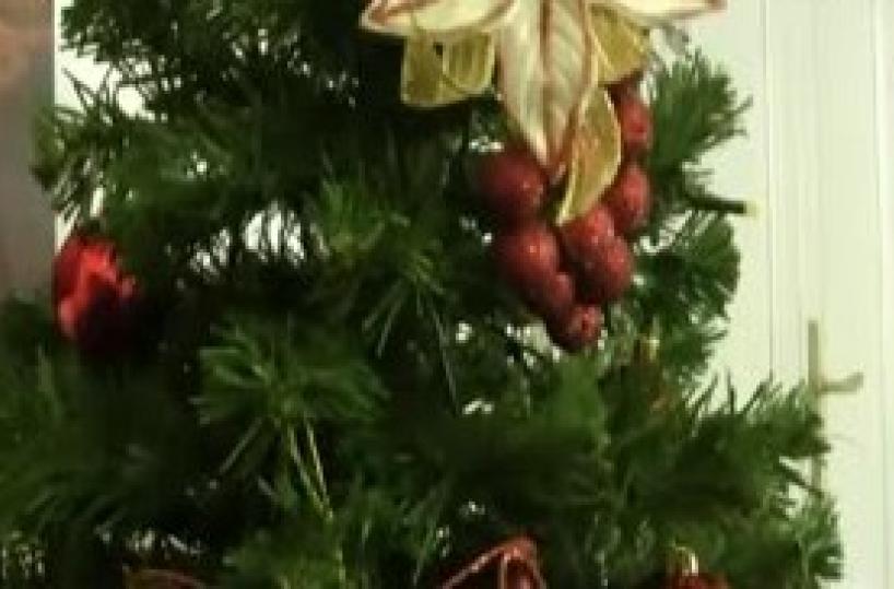 Gallipoli, a fuoco l'alberodi Natale: sfiorata tragedia