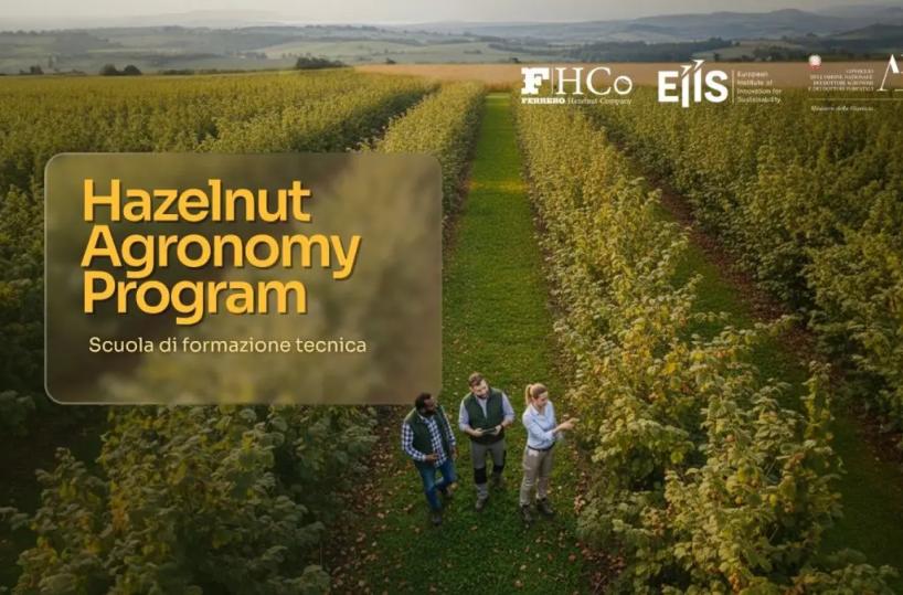 Al via l’Hazelnut Agronomy Program promosso da Ferrero, Eiis e Conaf