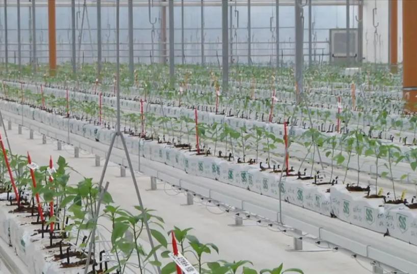 Bayer apre le porte all’innovazione, nuove serre hi-tech a Latina