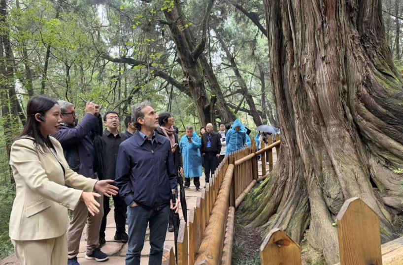 Cina-Italia: Strada per Shu e Via Appia, dialogo tra civiltà attraverso montagne e mari