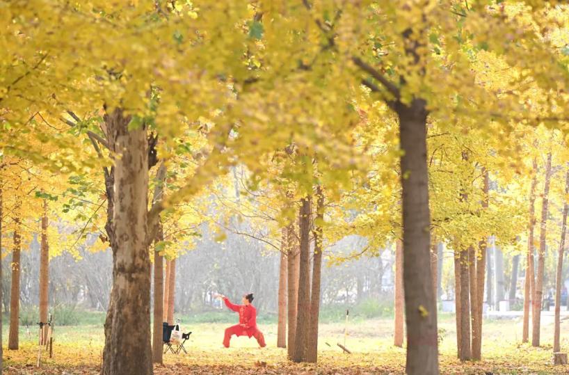 Cina: aspettativa di vita media raggiunge i 79 anni nel 2024