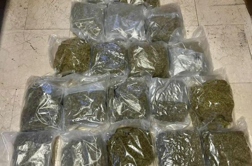 Arrestati a Bologna due trafficanti di droga con 20 kg di marijuana
