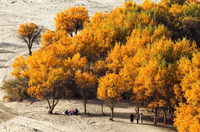 Cina, nello Xinjiang produzione di petrolio greggio supera 1,7 mln di tonnellate