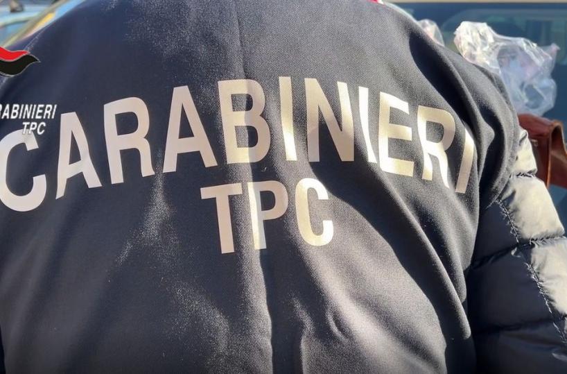 Scavi clandestini e ricettazione beni archeologici, 56 misure cautelari