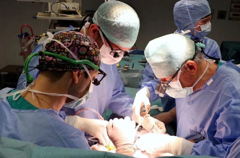 Chirurgia vascolare, il San Raffaele di Milano pioniere della mininvasivit&agrave;