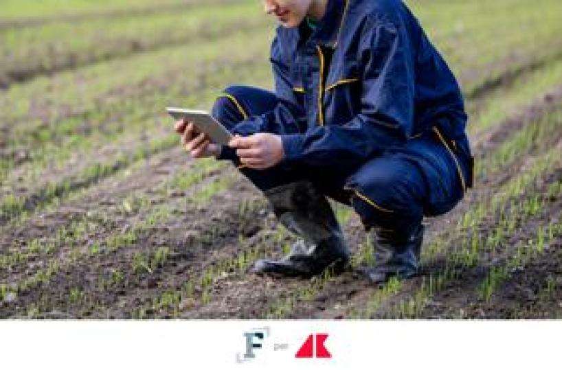 Bonus formazione per giovani agricoltori, come fare domanda? Le istruzioni