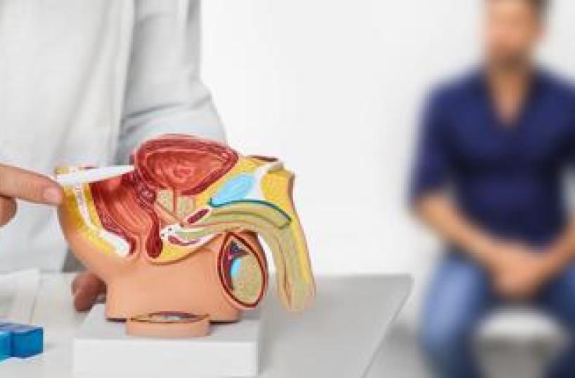 Tumori, 485mila italiani con cancro prostata, Aiom: "Casi in crescita, potenziare prevenzione"