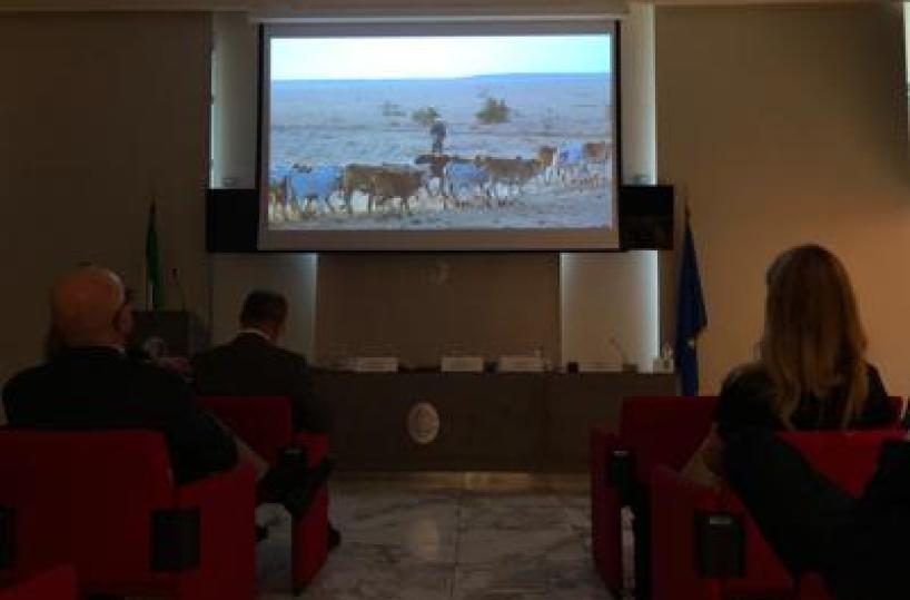Alimenti, presentato docufilm 'World Without Cows': un mondo senza allevamenti