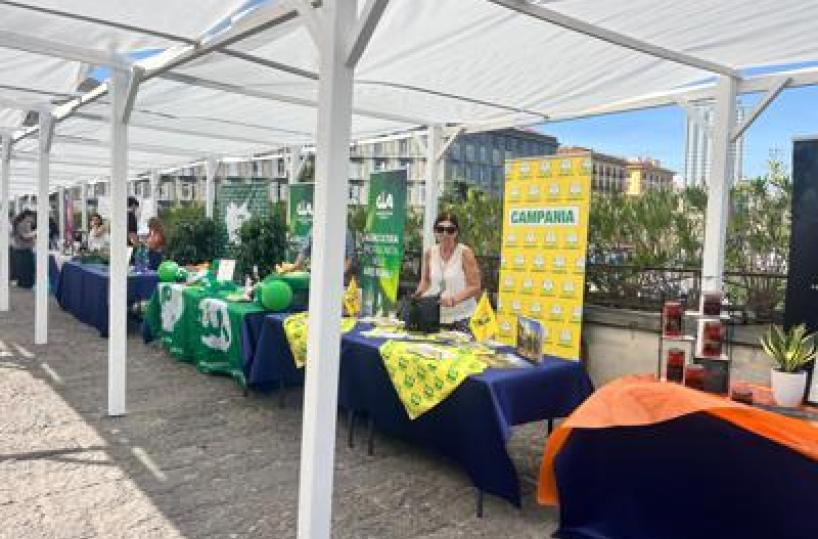 Agricoltura, Nomisma fotografa futuro Campania, tra criticità strutturali e crescita export