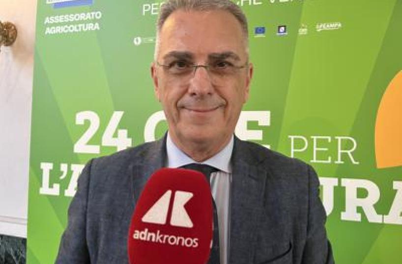 Alimenti, Minelli: "La dieta mediterranea è uno strumento universale di prevenzione"